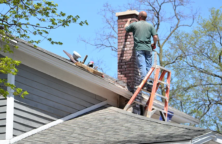 Chimney & Fireplace Inspections Services in Oregon, OH